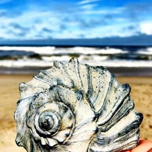 Meet your Posher, Suzanne